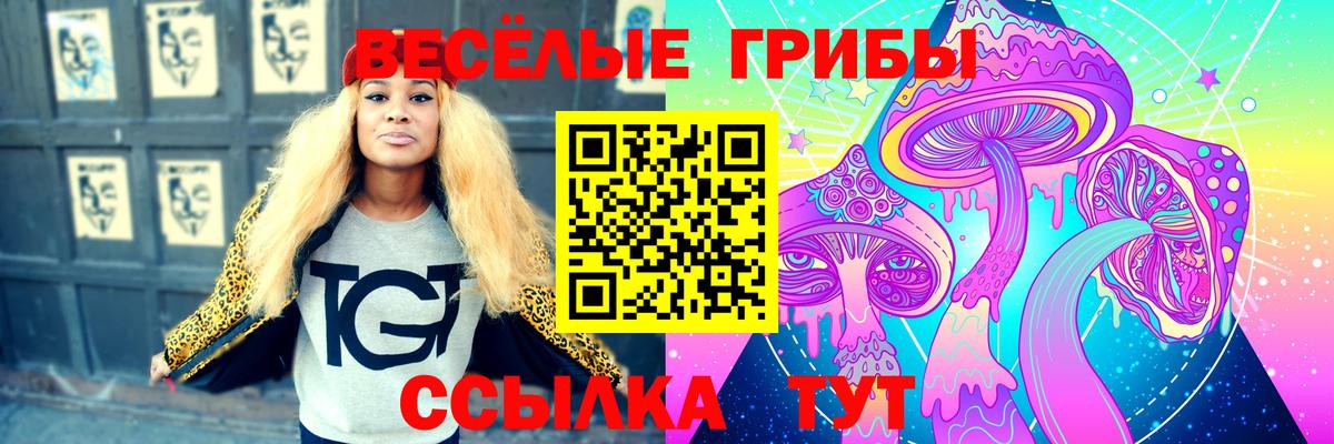 Псилоцибиновые грибы GOLDEN TEACHER Астрахань